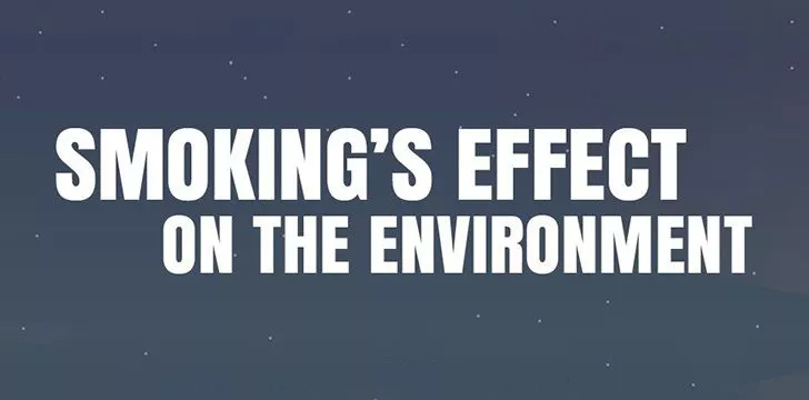 Влияние курения на окружающую среду [Инфографика] 