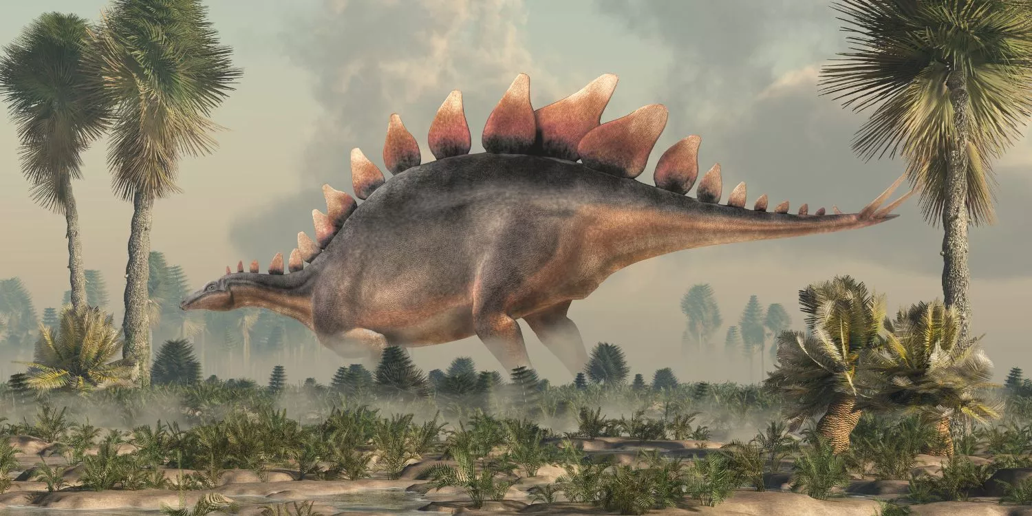 10 шокирующих фактов о стегозавре 