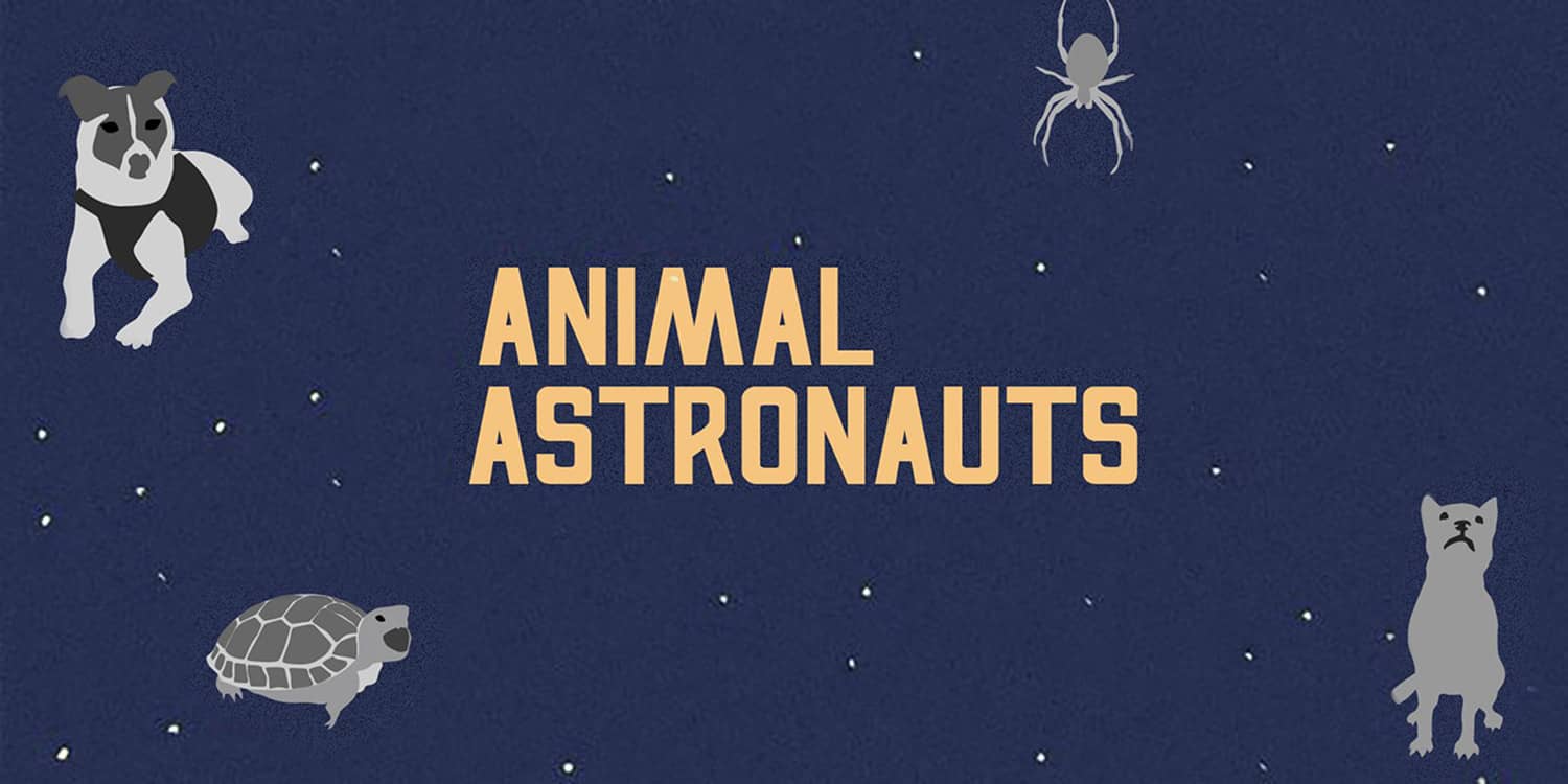 Животные, побывавшие в космосе Инфографика 