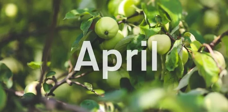 20 удивительных фактов об апреле 