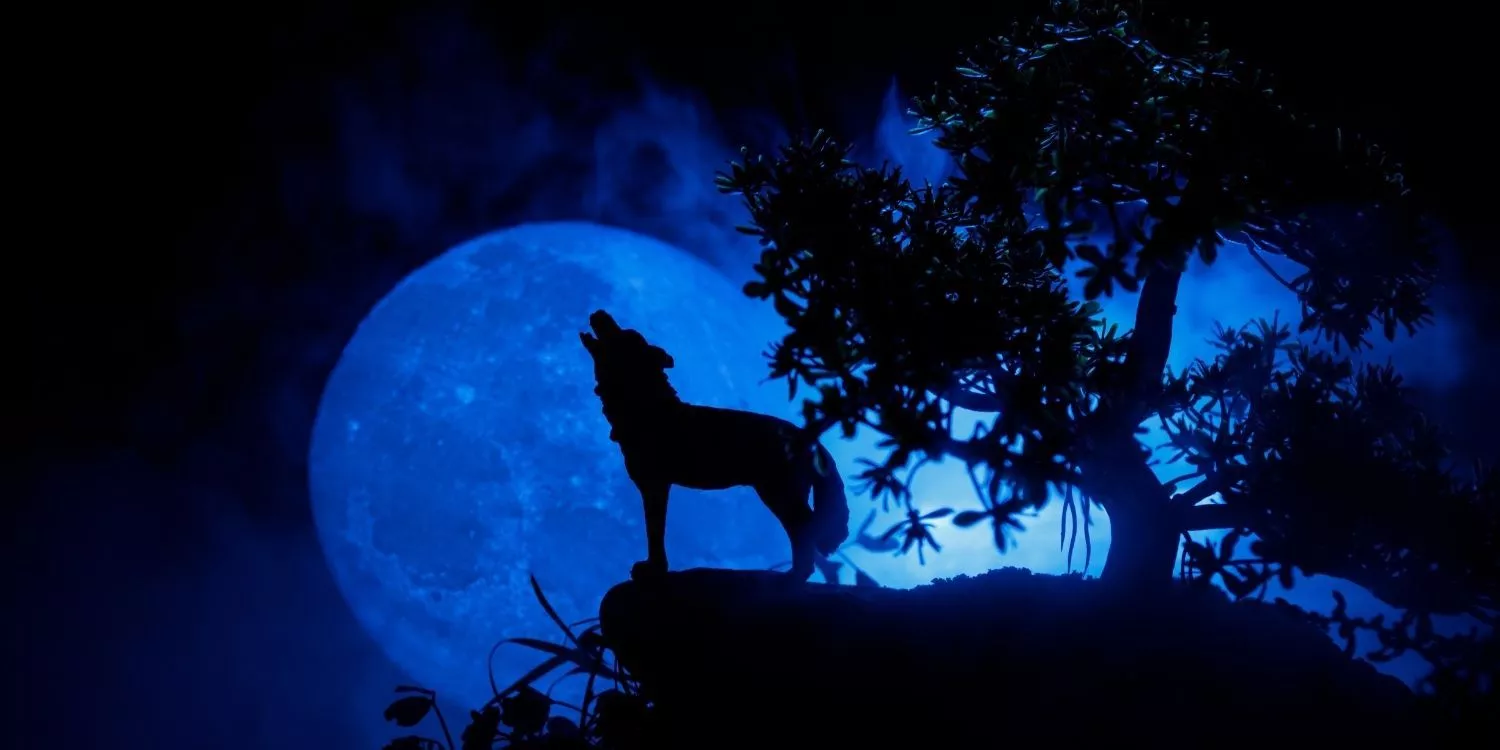 Что такое Волчья Луна?  