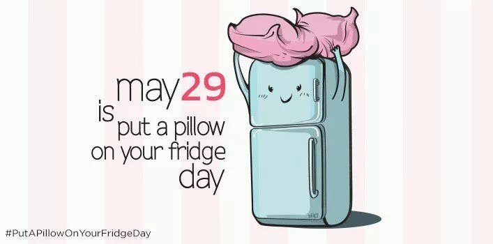 Положите подушку на холодильник. День 29 мая 