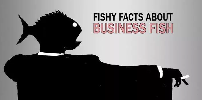 Сомнительные факты о бизнесе Facebook Fish 
