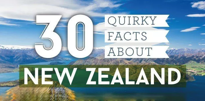 30 необычных фактов о Новой Зеландии Инфографика 