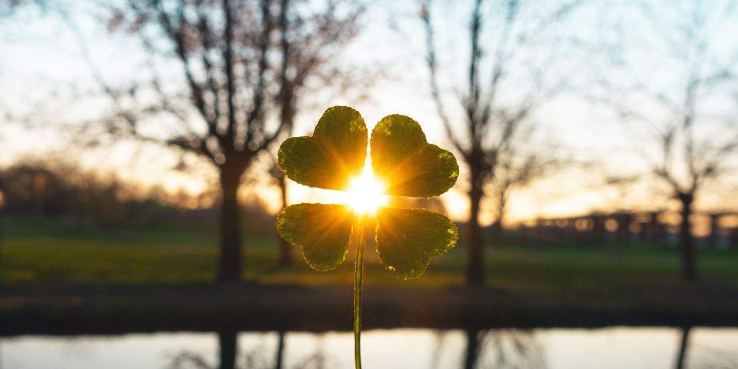 11 Lucky Facts About The FourLeaf Clover   