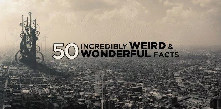50 невероятно странных и замечательных фактов 