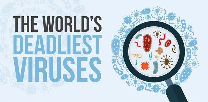 Инфографика о самых cмepтоносных вирусах в мире > Интересные факты