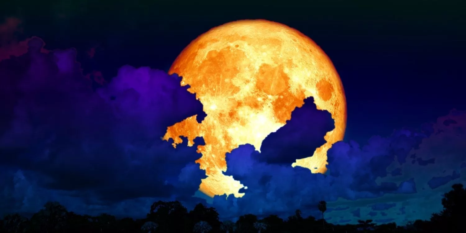 Что такое червячная луна?  > Интересные факты