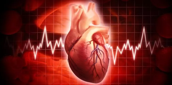 10 фактов о человеческом сердце > Интересные факты