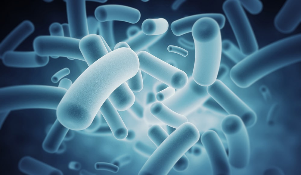 19 интересных фактов о бактериях
