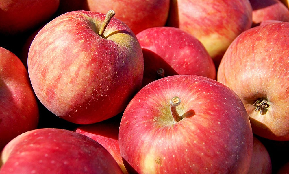 18 интересных фактов о яблоках