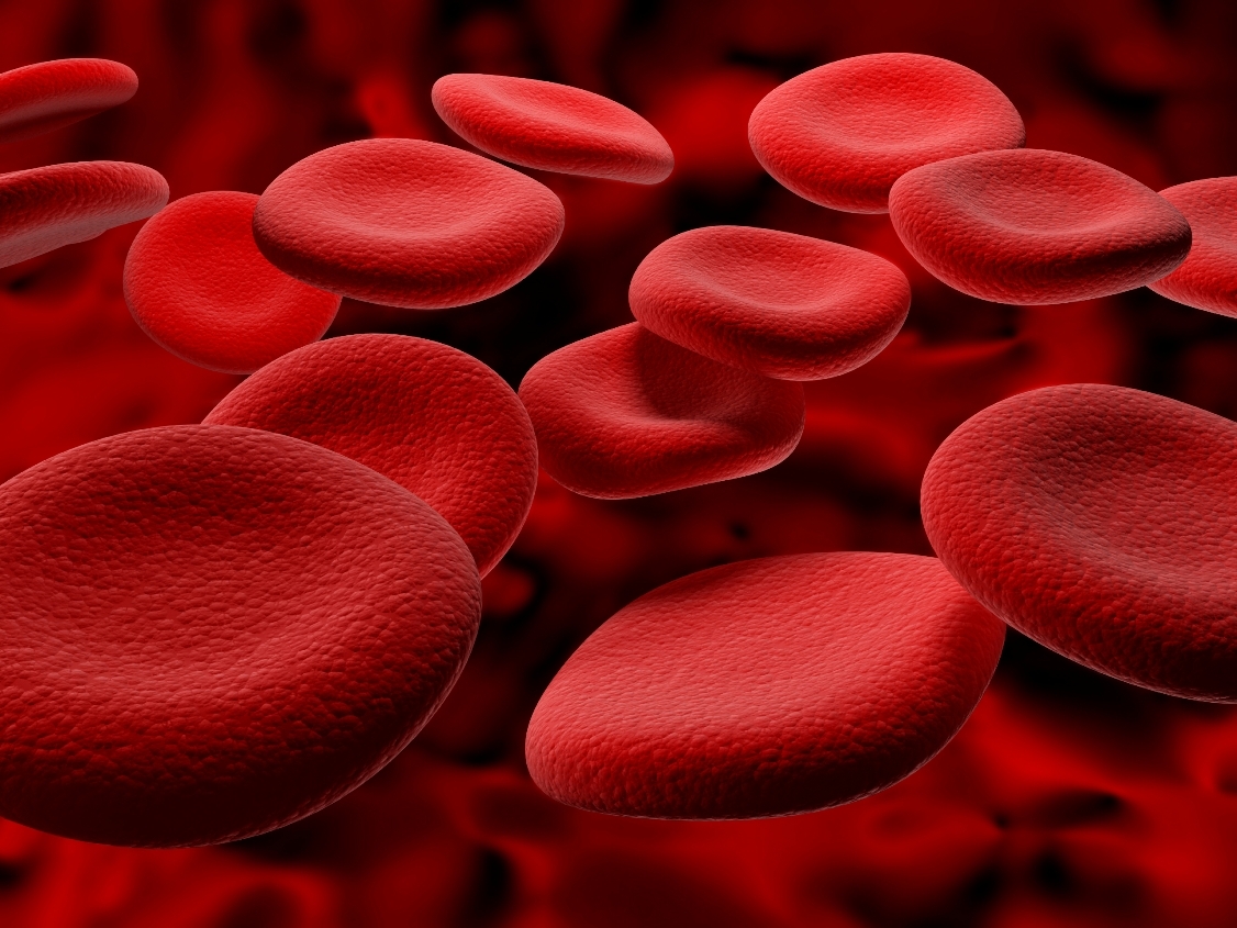 Что такое гемоглобин – Интересные факты