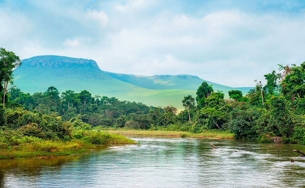 12 интересных фактов о реке Конго