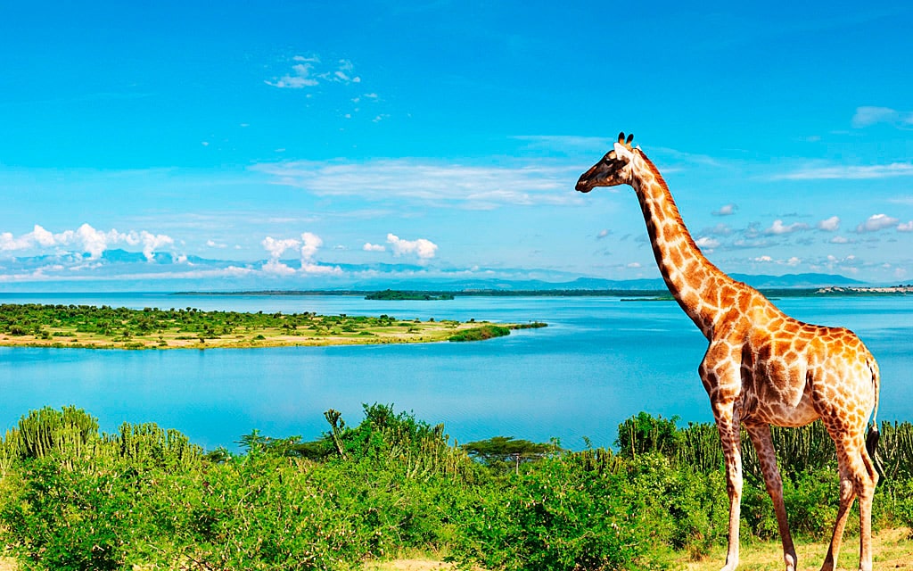 12 интересных фактов о реках Африки