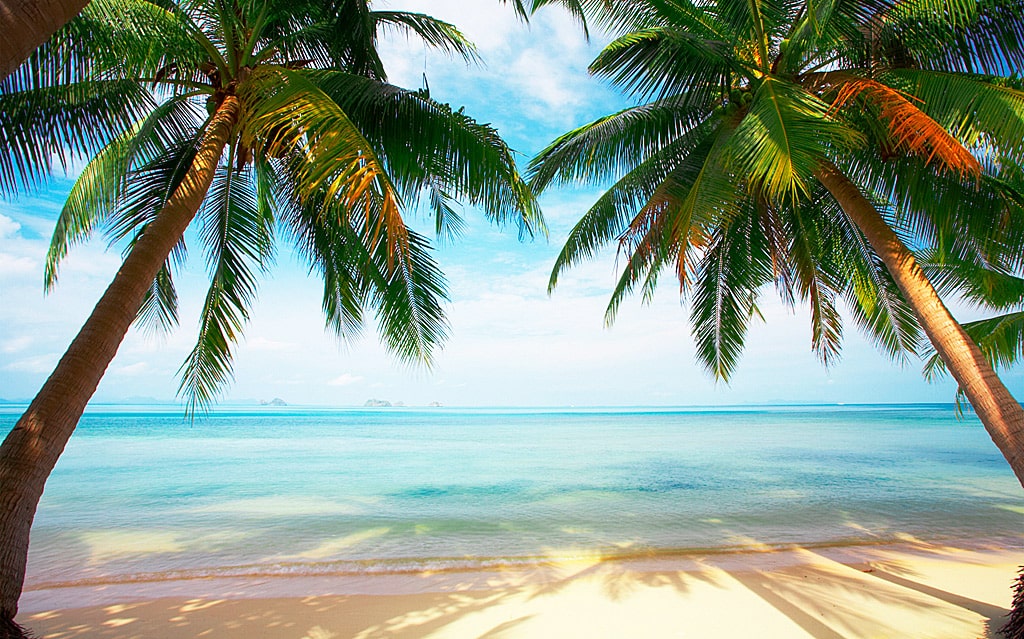 15 интересных фактов о Карибском море