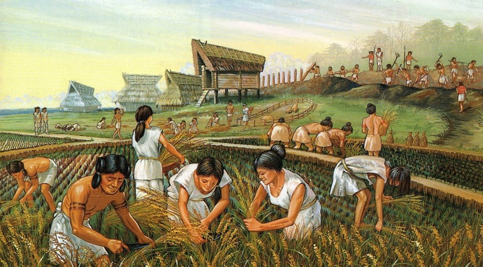 Аграрная революция первобытных людей