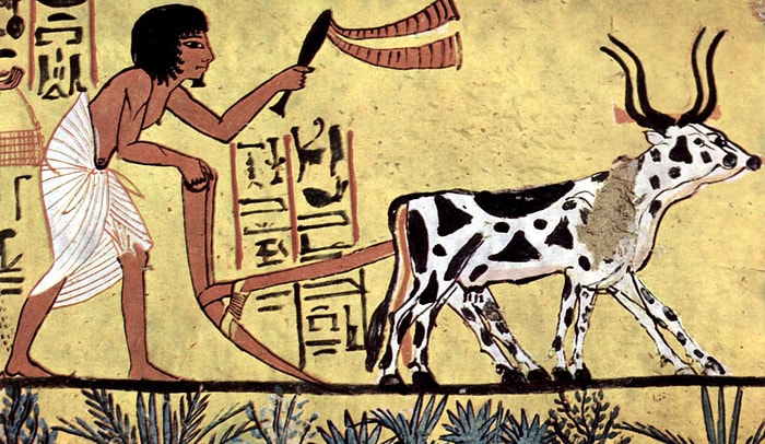 Краткая история сельского хозяйства